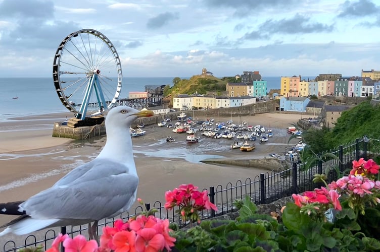 Big Wheel idea for Tenby