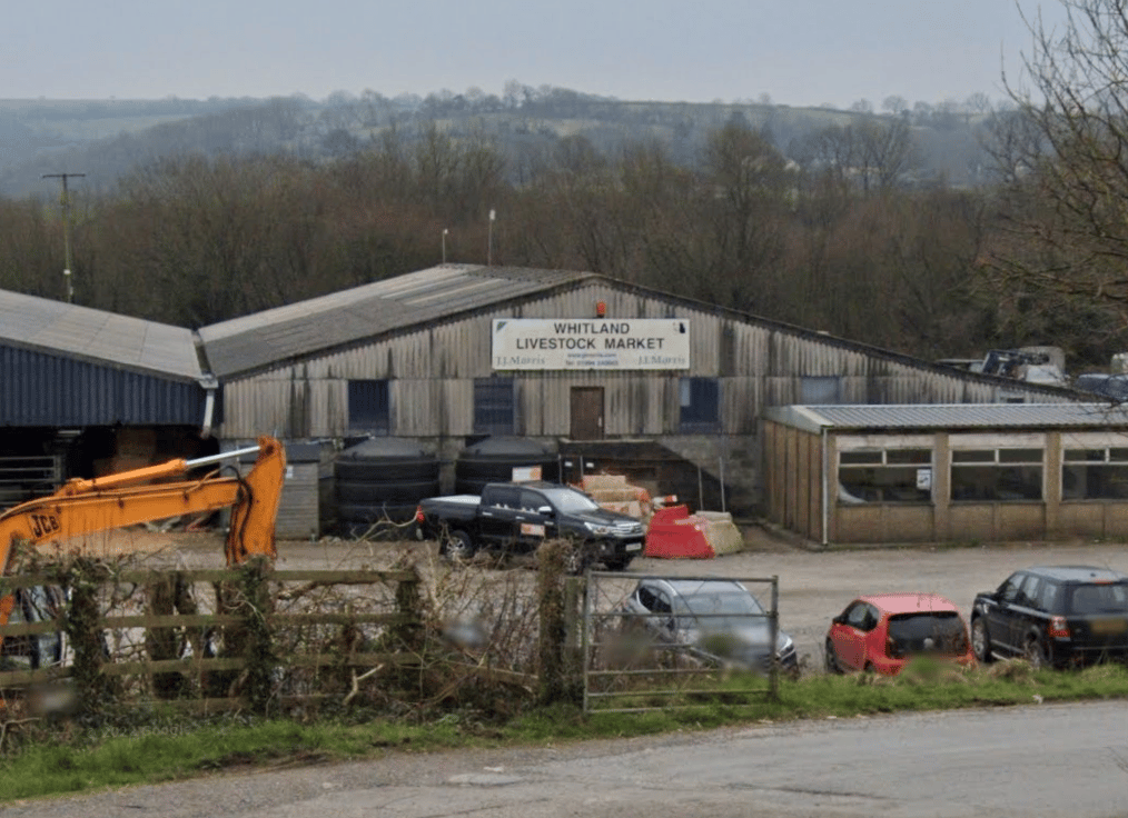 Employer in court over Whitland livestock escape | tenby-today.co.uk