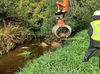 Cleddau River benefits from two river habitat restoration projects