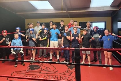 Tenby Sharks get ready to host a Bank Holiday boxing extravaganza
