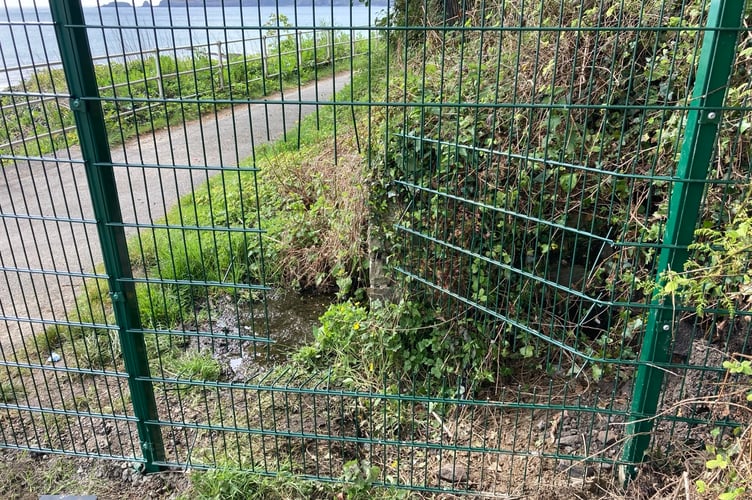 safety fencing on the Wisemans Bridge side.