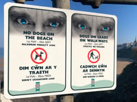 PCC to carry out 'pooch patrols' for breaches of beach byelaws