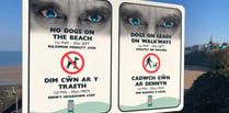 PCC to carry out 'pooch patrols' for breaches of beach byelaws