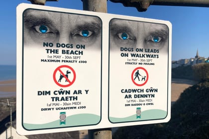 198 Fixed Penalty Notices issued to dog owners breaching beach bans
