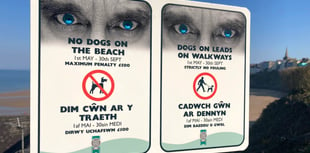 198 Fixed Penalty Notices issued to dog owners breaching beach bans