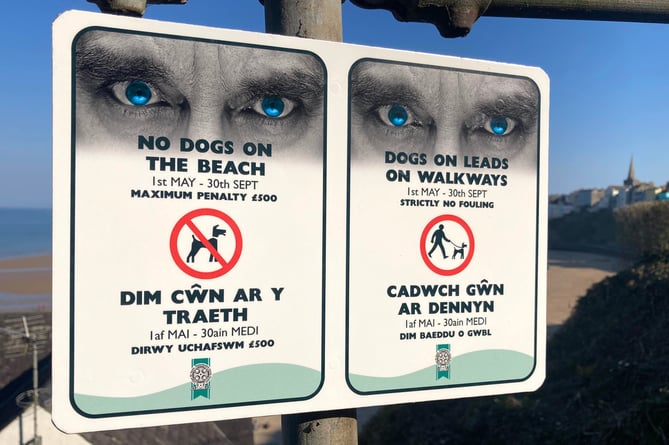 Dog beach ban Tenby