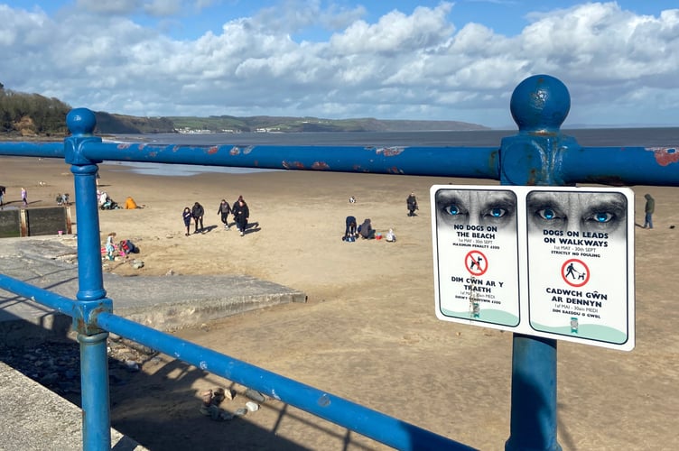 Saundersfoot dog beach ban