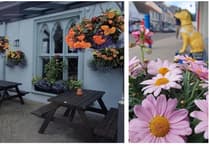 Saundersfoot in Bloom invites residents/businesses to show off their floral delights