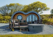 Wheelchair accessible holiday lodges proposed for deer park attraction near Tenby