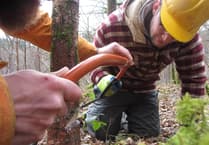 Places available on Haverfordwest woodland carpentry course