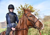 Equine school refused by National Park for 'best land' reasons