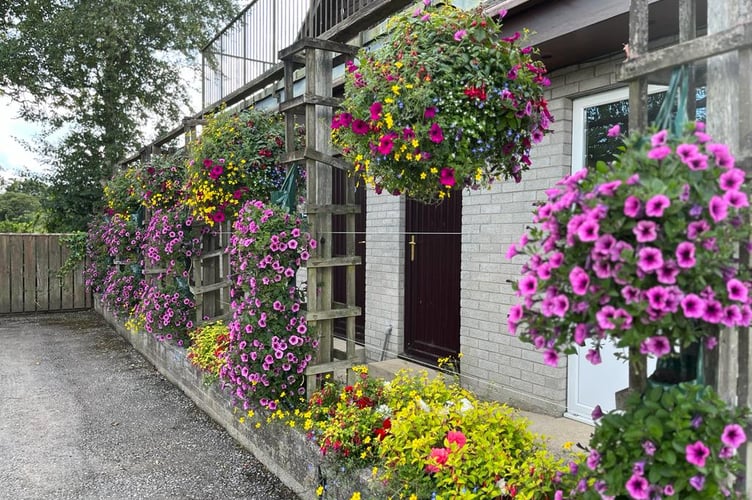 Saundersfoot in Bloom