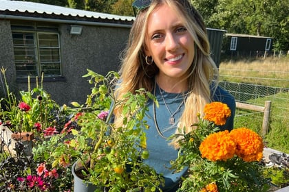 TV gardener calls on people of Wales to reduce pesticide use