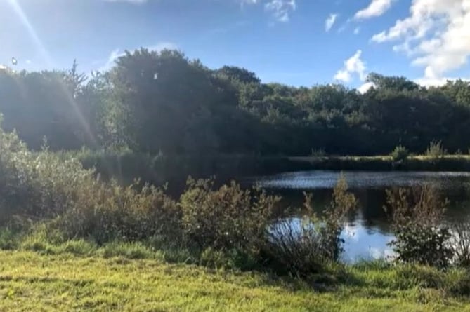 holiday chalets at a trout fishery near Fishguard