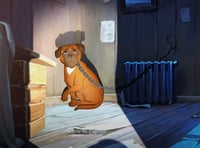 Hard-hitting animated RSPCA film goes viral