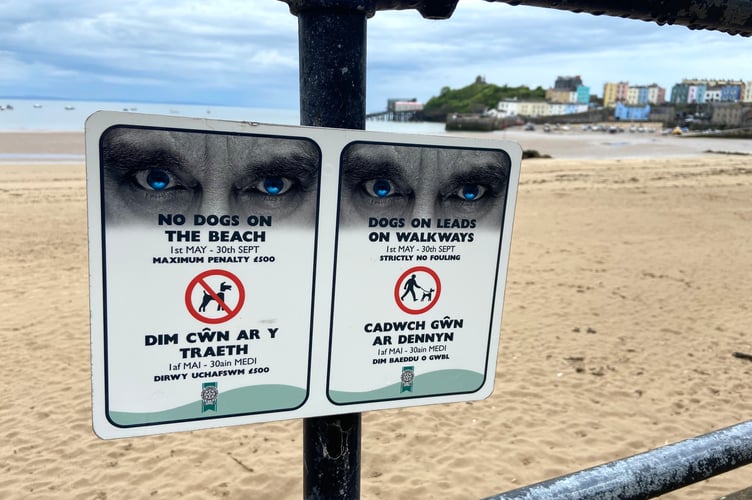 Dog ban Tenby