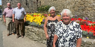 WATCH: Sparkling seaside sunshine for Tenby in Bloom judging