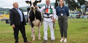 Royal Welsh Show: Sioe'r Cardis hailed a resounding success