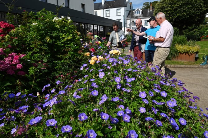 Saundersfoot flowers