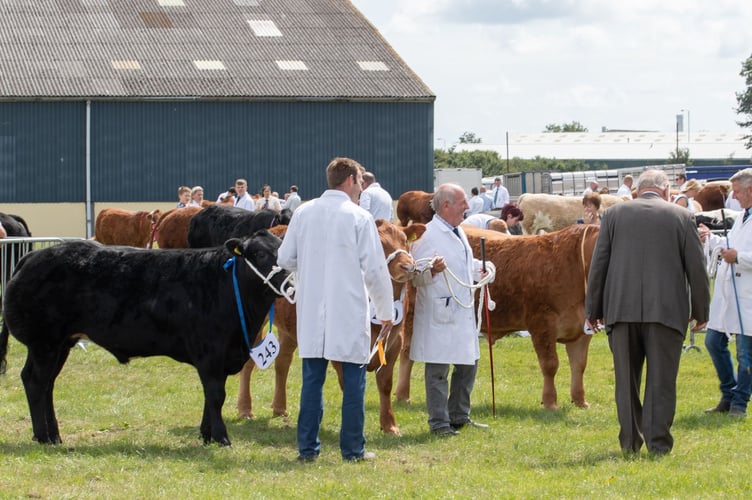 county show Pembs