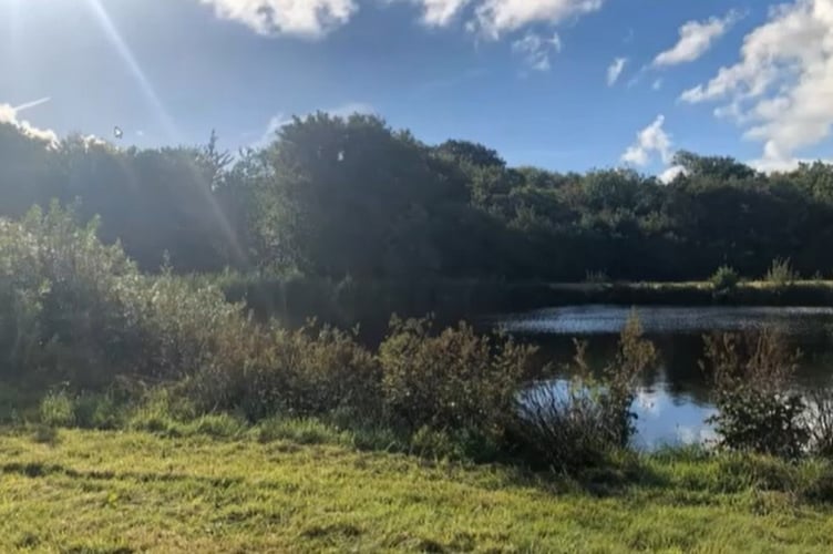 An application to build holiday chalets at a trout fishery near Fishguard was again backed by planners. 