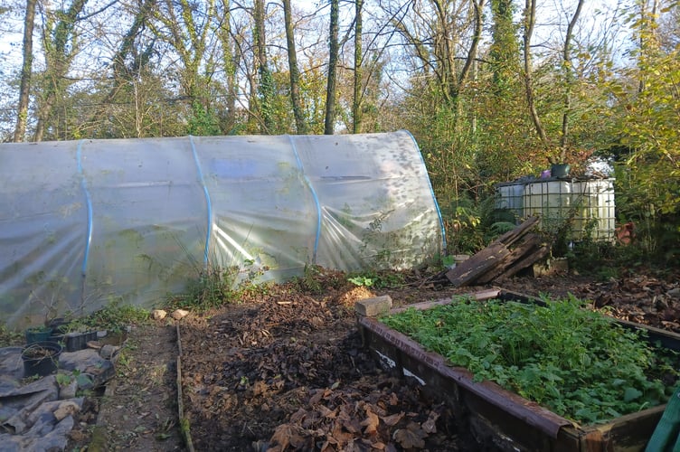 An area of West Wales Woods - a community woodland, orchard and garden near Carmarthen (pic courtesy of Anna Green and for use for BBC wire partners) 