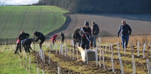 Redberth community farm launches ‘Branching Out’ project