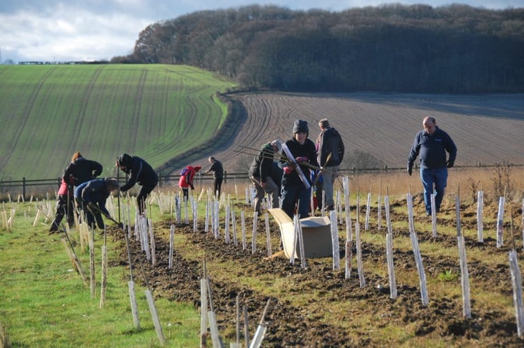 As part of The Conservation Volunteers’ #IDigTrees scheme, Redberth Croft CIC - a community farm near Kilgetty - has been awarded 600 free trees, which will be planted starting on February 20 after the first delivery is expected on Valentines Day. 