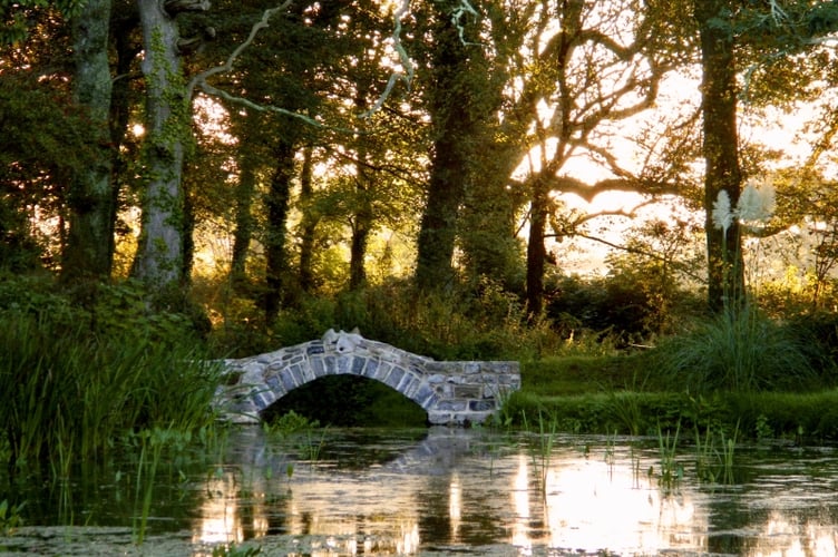 Norchard located on The Ridgeway, Manorbier has opened for the National Garden Scheme since 2012.